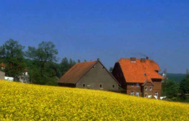 Buren in summer