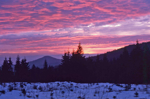 a winter sunset in the Bavarian Natl Forest