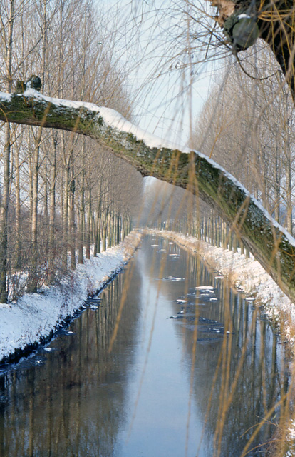 vils river in winter
