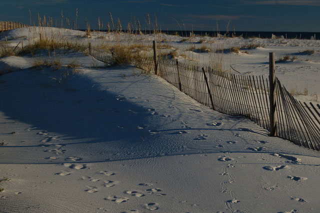 fences help control shifting sand