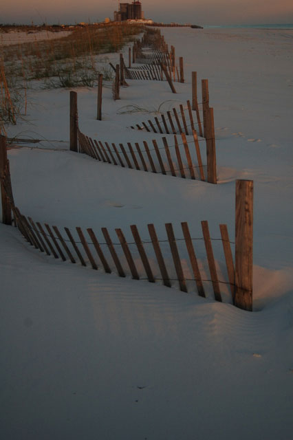fences control the shifting sand at gulf shores