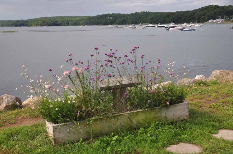 flower planter on river's edge