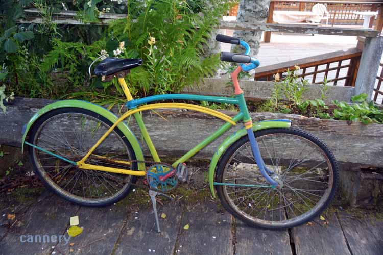multi-colored bicycle