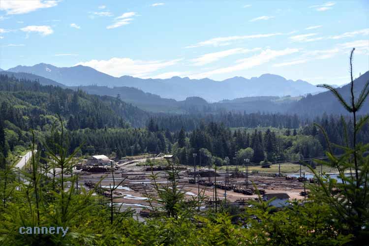logging mill overview