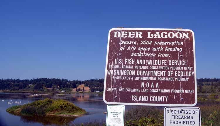 deer lagoon sign