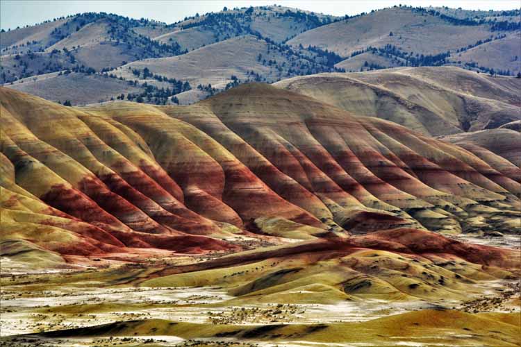 fossil beds of many colors