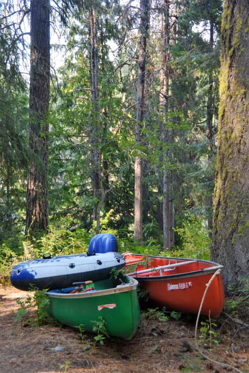 canoes under tree