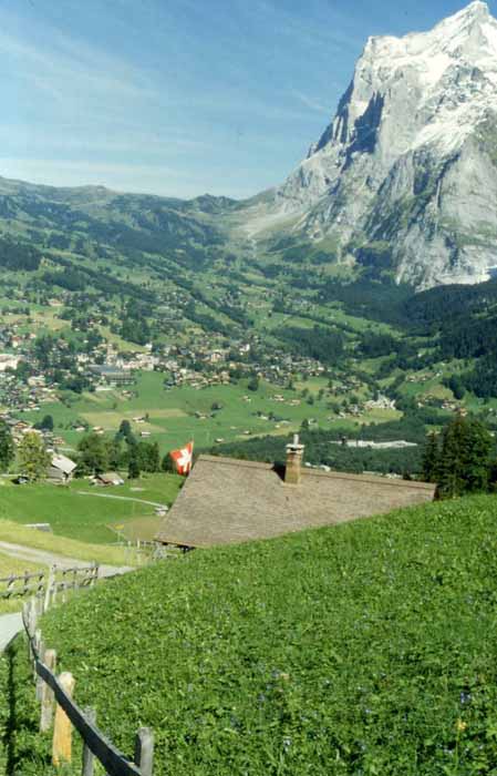 the town of grindelwald