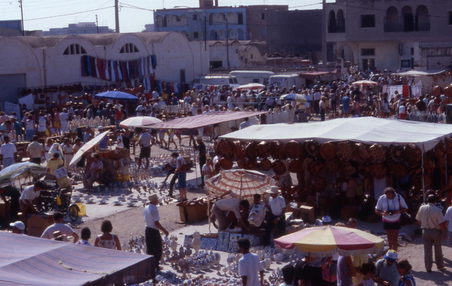 Nabeul camel market