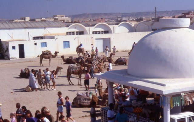 the camel market in Nabeul