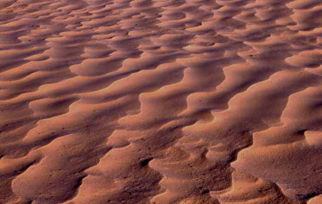 the Sahara Desert