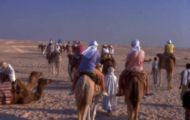 our camel ride into the Sahara