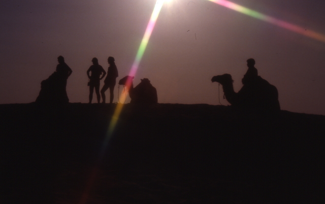 silhouettes on the Sahara
