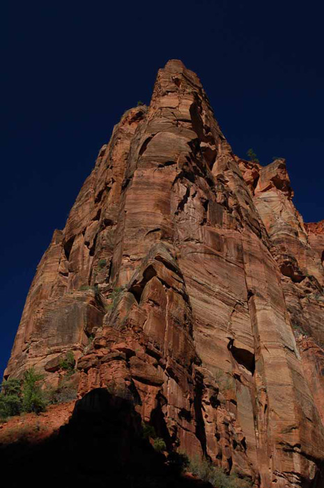 Zion NP