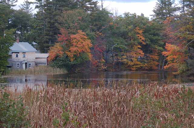 pond and house
