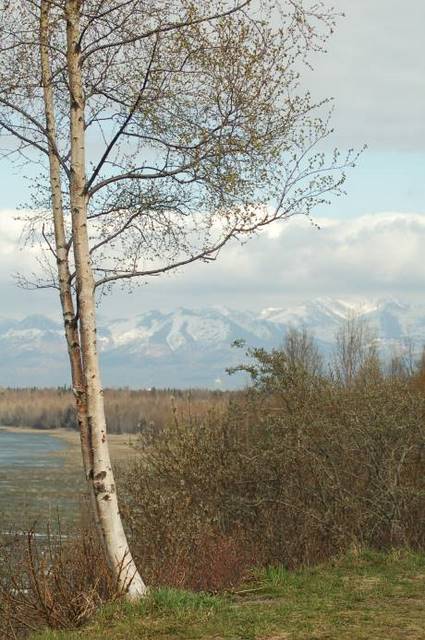 bike trail outside Anchorage