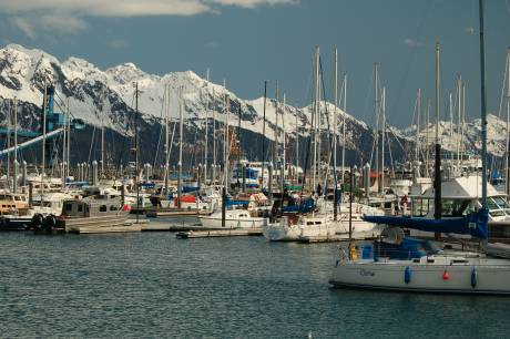 Seward's small-boat harbor