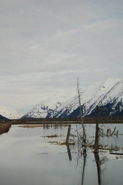 water and  marsh