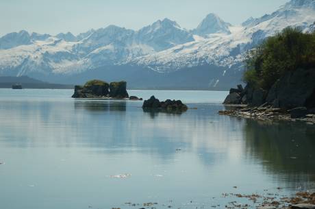 Valdez harbor