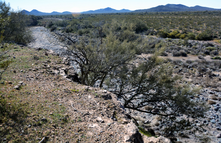 along the trail