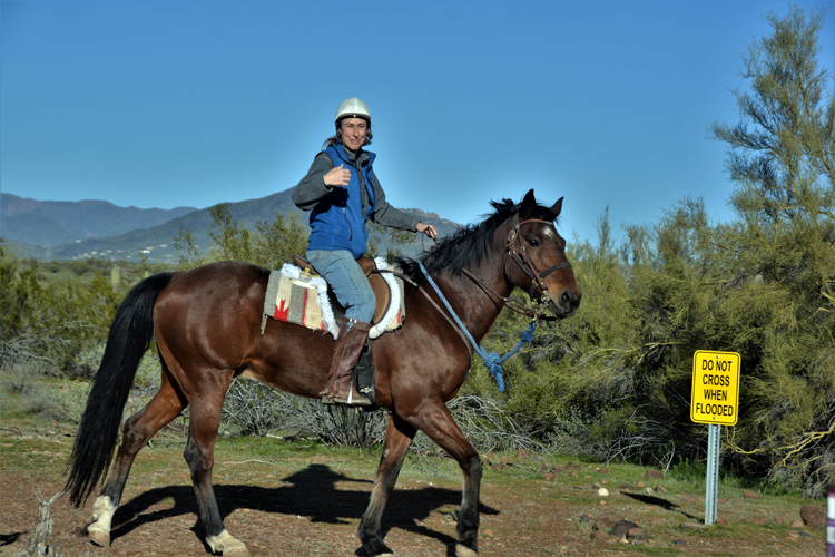 equestrian rider