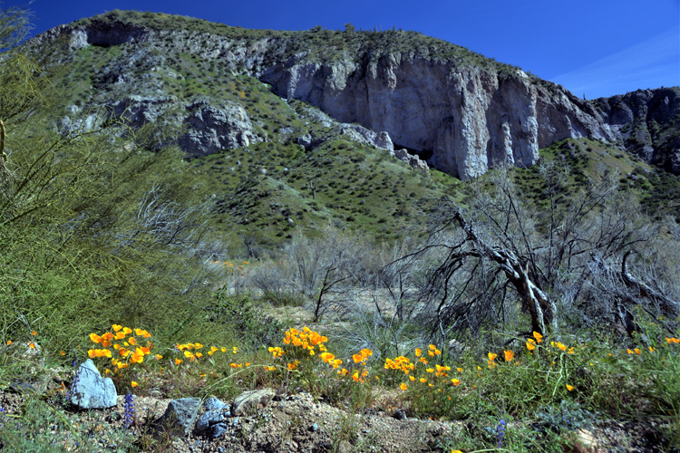 mountain scenic