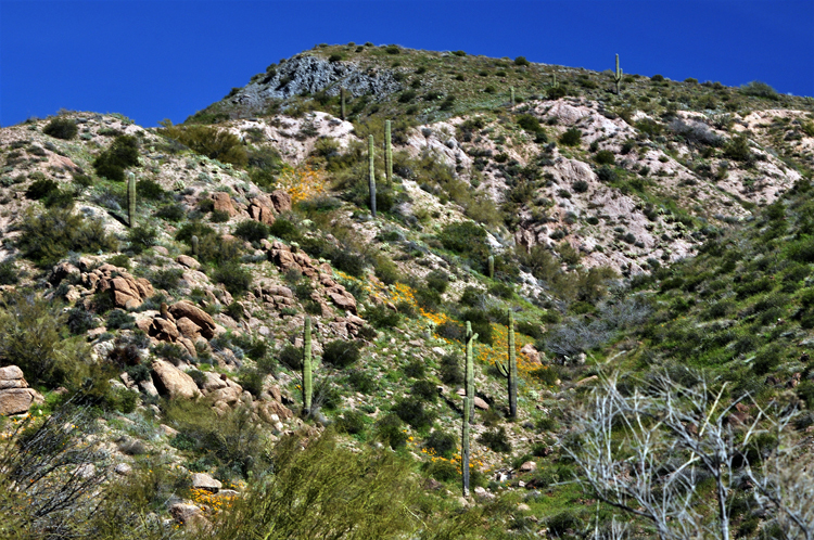 mountain scenic