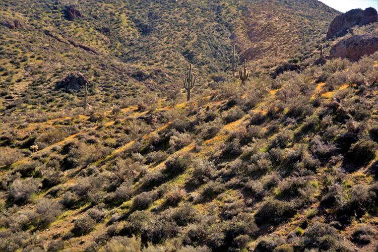 mountain scenic