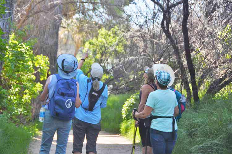 hikers
