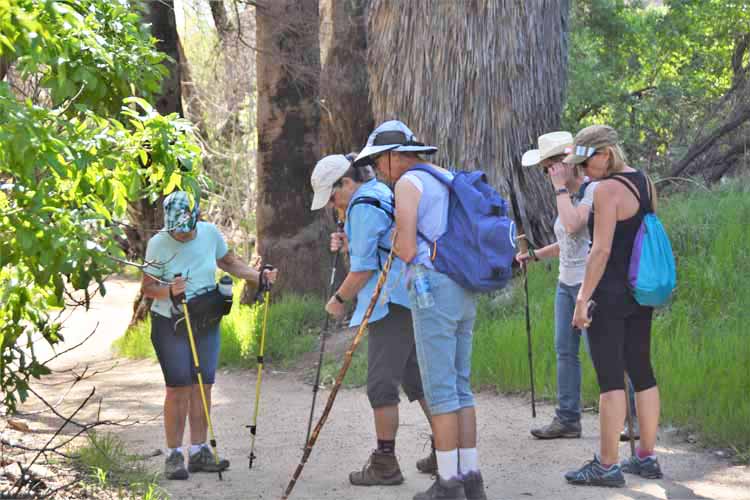 hikers