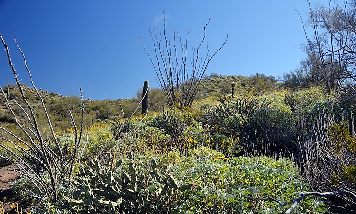 trail