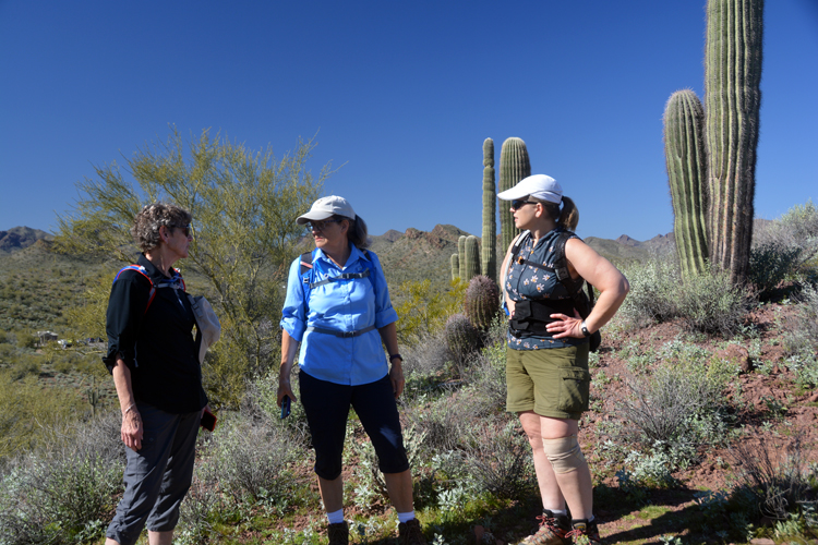 hikers and scenic