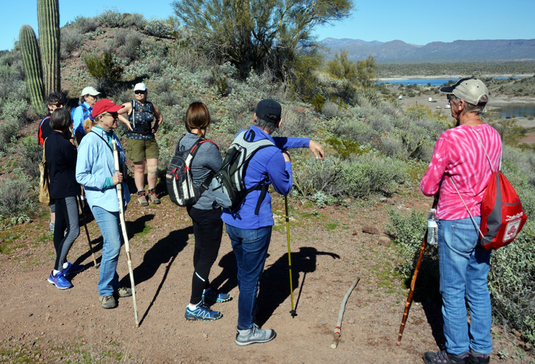 hikers