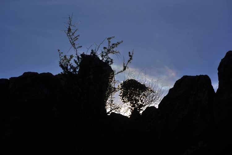 trail, scenic