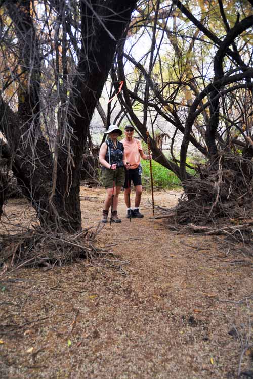 hikers