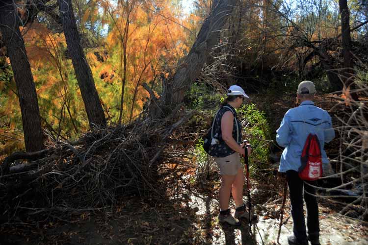 hikers