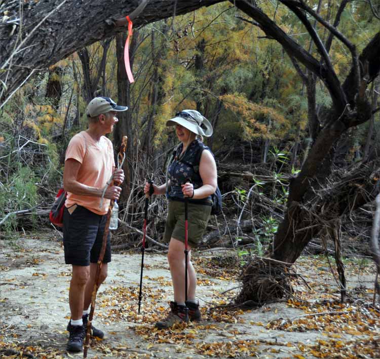 hikers