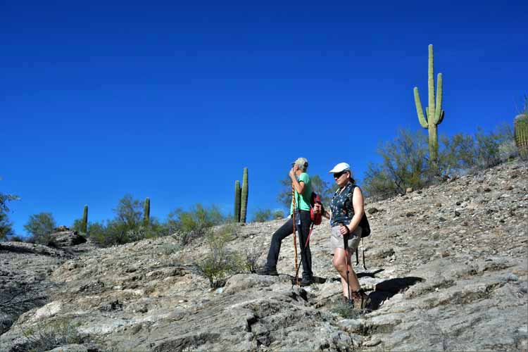hikers