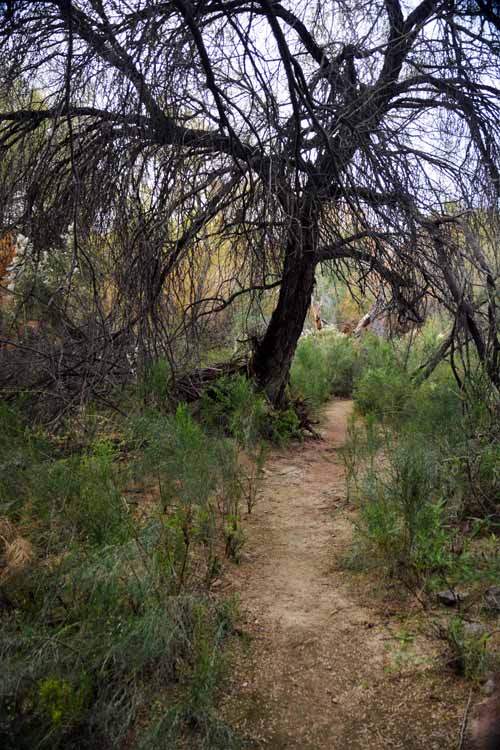 morgan city wash trail