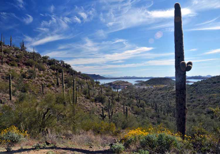 trail, scenic
