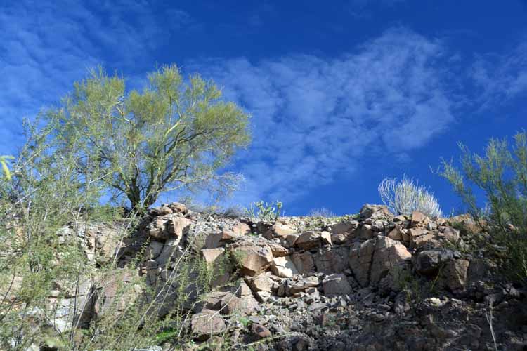 morgan city wash trail