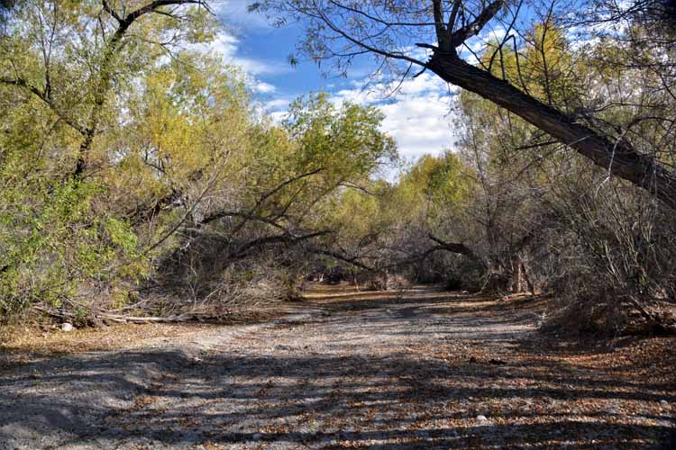 morgan city wash trail