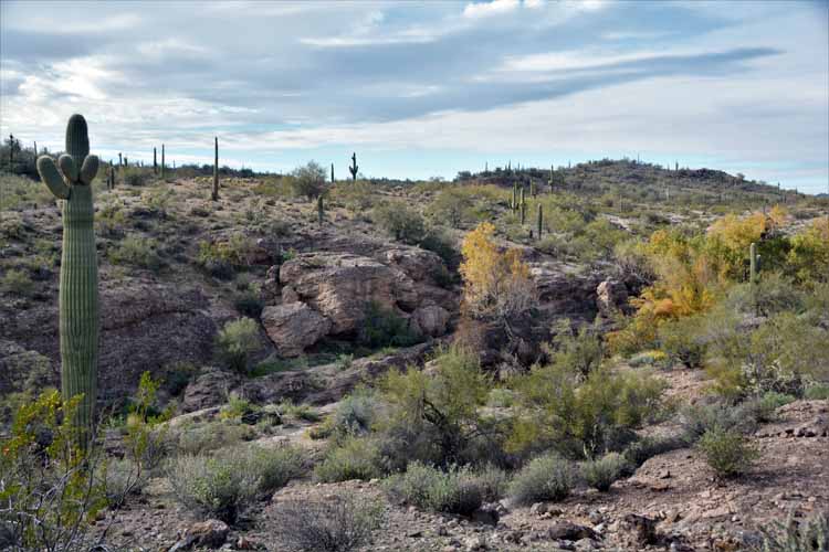 morgan city wash trail