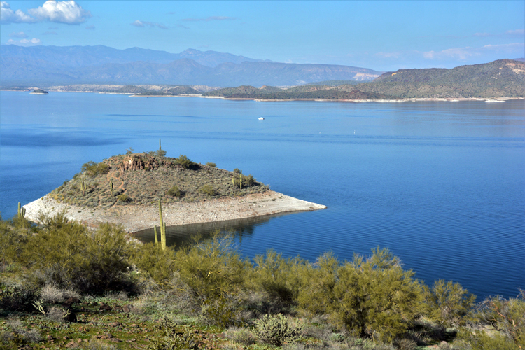 lake scene