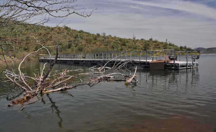 bridge