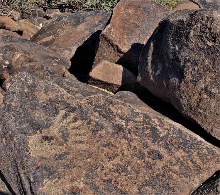 petroglyphs