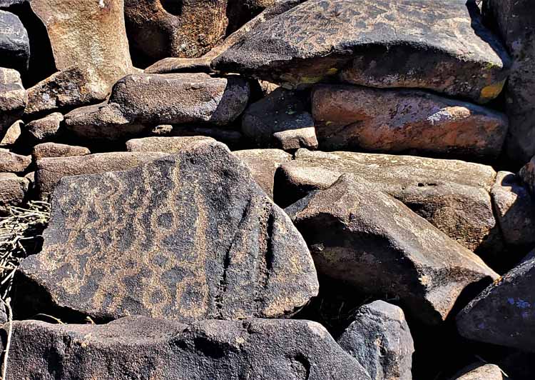 petroglyphs