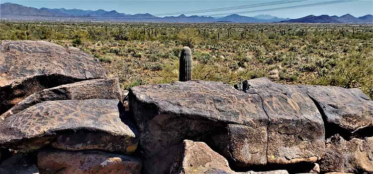 petroglyphs