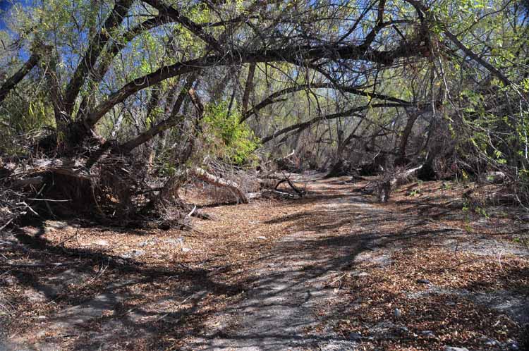 hike