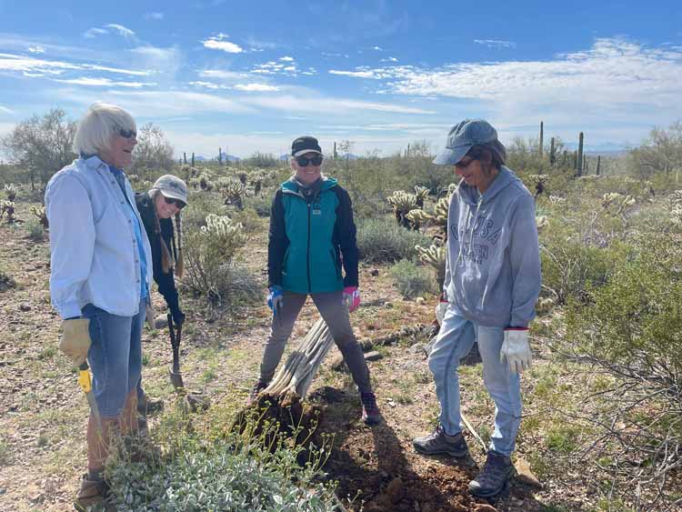 group in desert